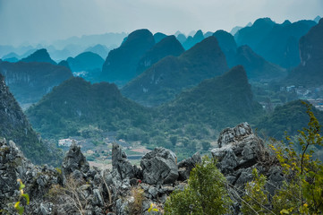 国产车大换标失败成功者是谁？