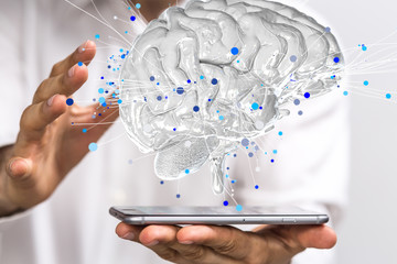 霞浦县实验小学的学校简介