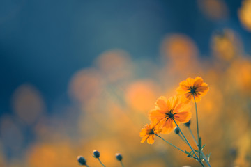 日本测评国产车品牌排行