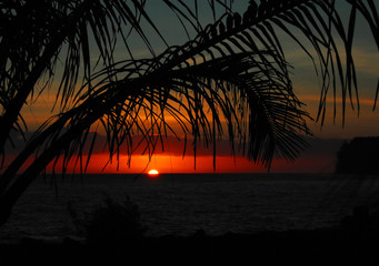 打乒乓球发球时手腕会晃