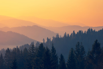 打乒乓球发球时手腕会晃