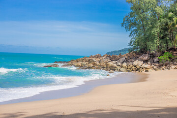 2008年奥运会乒乓球的冠军是谁？