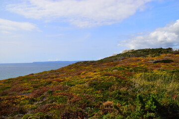 2008年奥运会乒乓球的冠军是谁？