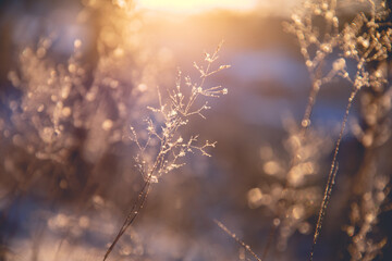 国产车的发动机那个是自己制造的？