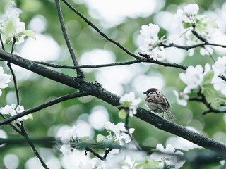 年终总决赛女双冠军最多的是谁