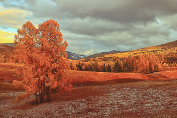 如何解决摩托车冬天不好打火的问题？