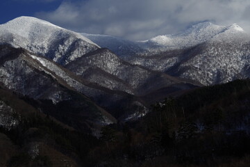 2008年奥运会乒乓球的冠军是谁？