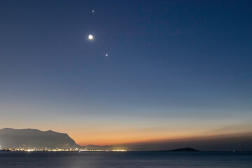 2008年奥运会乒乓球的冠军是谁？