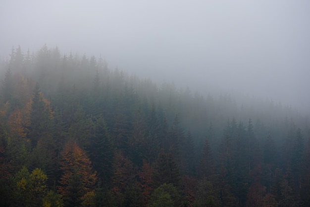 打乒乓球发球时手腕会晃