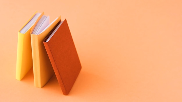 2008年奥运会乒乓球的冠军是谁？