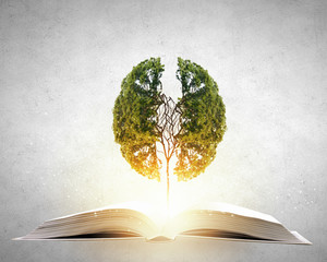 年终总决赛女双冠军最多的是谁