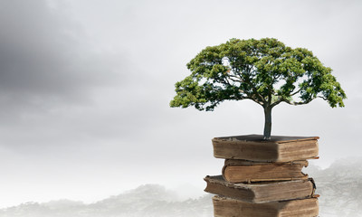 荣放和国产车比