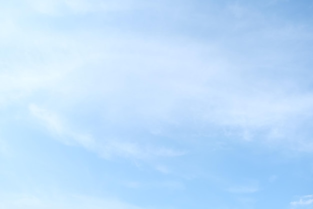 荣放和国产车比