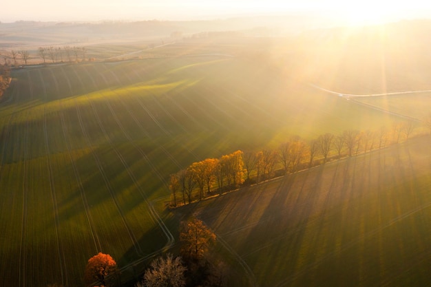 年终总决赛女双冠军最多的是谁