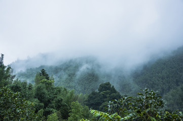 荣放和国产车比